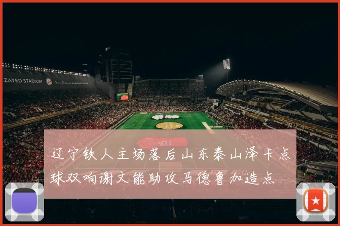 辽宁铁人主场落后山东泰山泽卡点球双响谢文能助攻马德鲁加造点