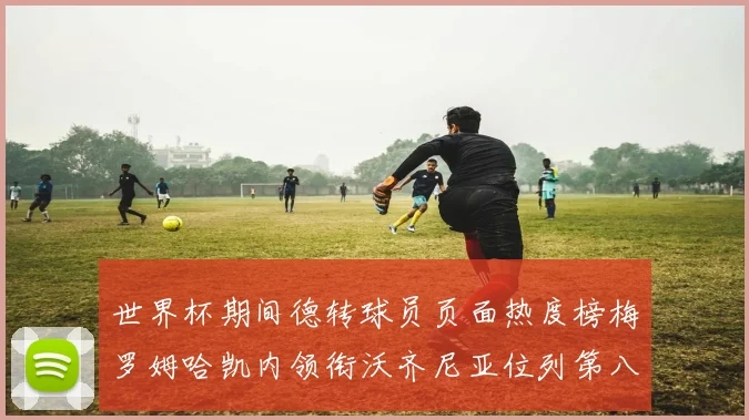 世界杯期间德转球员页面热度榜梅罗姆哈凯内领衔沃齐尼亚位列第八