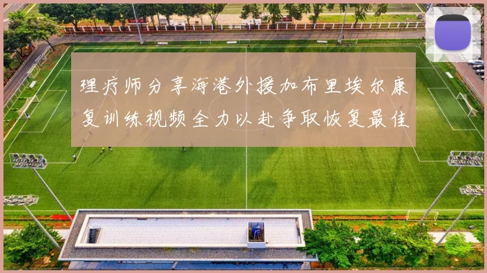 理疗师分享海港外援加布里埃尔康复训练视频全力以赴争取恢复最佳状态