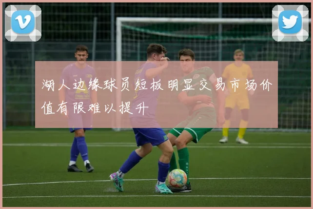 湖人边缘球员短板明显交易市场价值有限难以提升